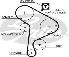 Gates 5223xs pasek rozrządu audi seat vw (137), audi 80 (89, 89q, 8a, b3), seat cordoba (6k1, 6k2)