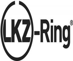 Goetze 08-424000-00 pierścienie tłokowe, citroËn berlingo (b9), fiat scudo (270_), ford c-max (dm2)