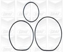 Graf pa562 pompa wody honda land rover rover, honda accord v (ce, cf), land rover freelander (ln)