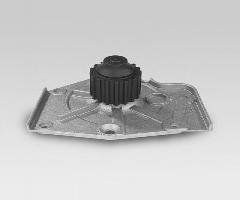 Hepu p1023 pompa wody rover