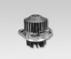 Hepu p1075 pompa wody citroen