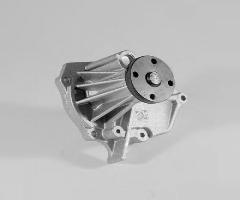 Hepu p235 pompa wody ford