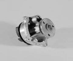 Hepu p236 pompa wody ford