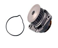 Hepu p541 pompa wody seat