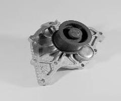 Hepu p559 pompa wody skoda