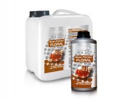 Amtra 77-334 clinex nano protect floral 5l