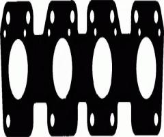 Reinz 71-29172-00 uszczelka kolektora wyd. audi, audi a8 (4d2, 4d8)