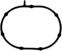 Reinz 71-36581-00 uszczelka kolektora ssąc. ford, ford c-max ii