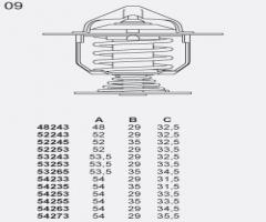 Stahlter 48243.82 termostat nissan almera, nissan 100 nx (b13)
