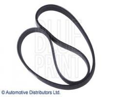 Blue print ad04r613 pasek wielorow. hyundai, hyundai accent ii (lc)