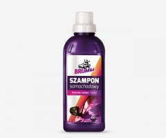 Brumm brss05 szampon samochodowy 500 ml