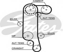 Gates 5565xs pasek rozrządu vw 1.4 (130), audi a2 (8z0), seat ibiza ii (6k1)