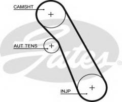 Gates 5541xs pasek rozrządu ford focus (91), ford focus (daw, dbw)