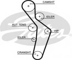 Gates 5616xs pasek rozrządu audi vw (145), audi a4 (8e2, b6), vw golf v (1k1)