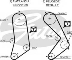 Gates 5033 pasek rozrządu fiat peugeot (118), fiat ritmo i (138a), innocenti elba (146)