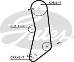 Gates 5627xs pasek rozrządu fiat (129), alfa romeo mito (955), fiat panda (169), ford ka (ru8)