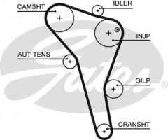 Gates 5622xs pasek rozrządu audi vw (137), audi a4 (8d2, b5), ford galaxy (wgr), seat ibiza ii (6k1)