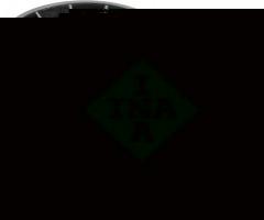 Ina 534010120 napinacz paska fiat, alfa romeo 156 (932), fiat doblo cargo (223)