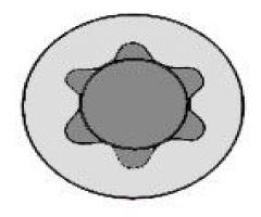 Reinz 14-32116-01 Śruba głowicy psa, citroËn xsara (n1), fiat scudo combinato (220p)