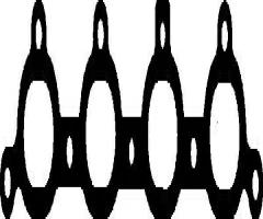 Reinz 71-53144-00 uszczelka kolektora wyd. opel, opel astra g hatchback (f48_, f08_)